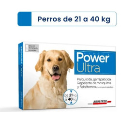 Inicio, Gatos, Antipulgas y Garrapatas, Inicio, Perros, Antipulgas y Garrapatas
